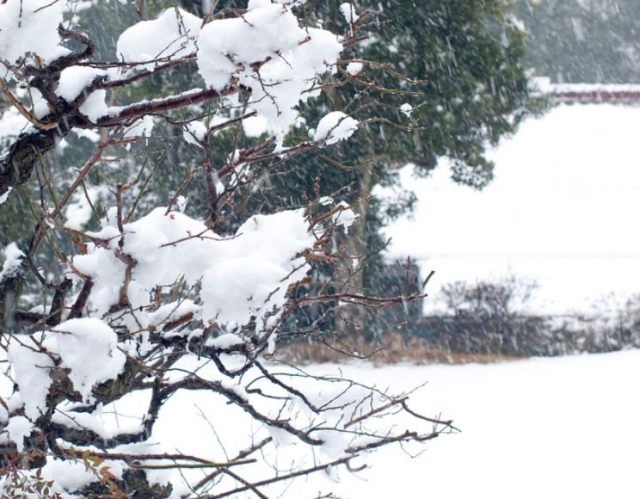  During the snowfall